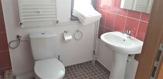 Проживание в семье Coroian House Клуж-Напока Четырехместный номер с собственной ванной комнатой-3