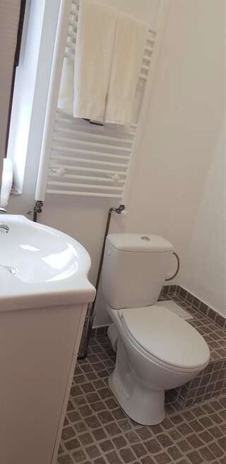Проживание в семье Coroian House Клуж-Напока Трехместный номер с собственной ванной комнатой-4