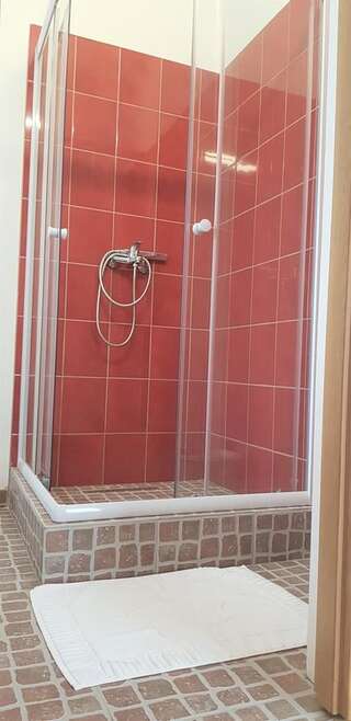 Проживание в семье Coroian House Клуж-Напока Трехместный номер с собственной ванной комнатой-5